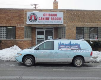 New City Moving Chicago Canine Rescue