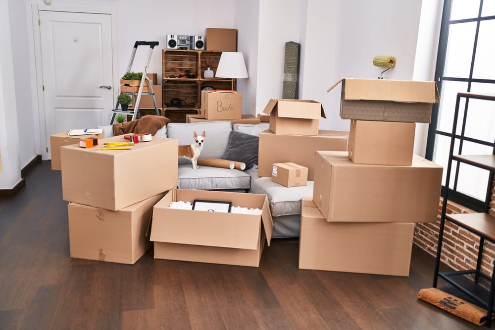 What not to pack when preparing for a move in Chicago.