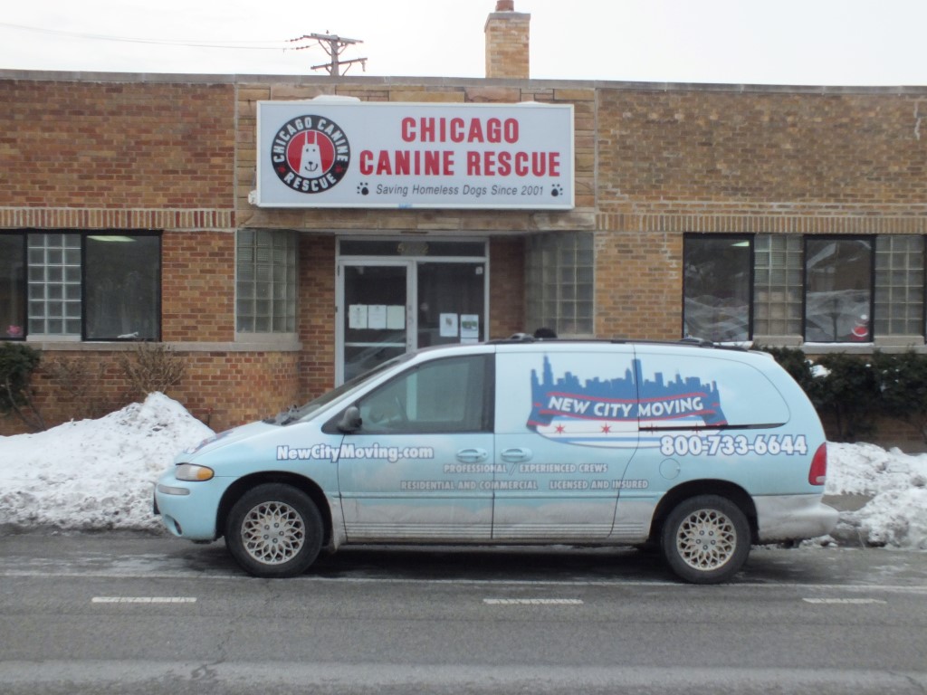 New City Moving chicago canine rescue.