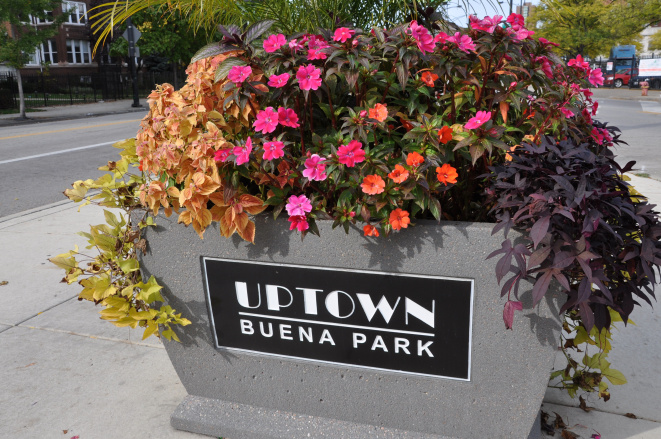 buenapark