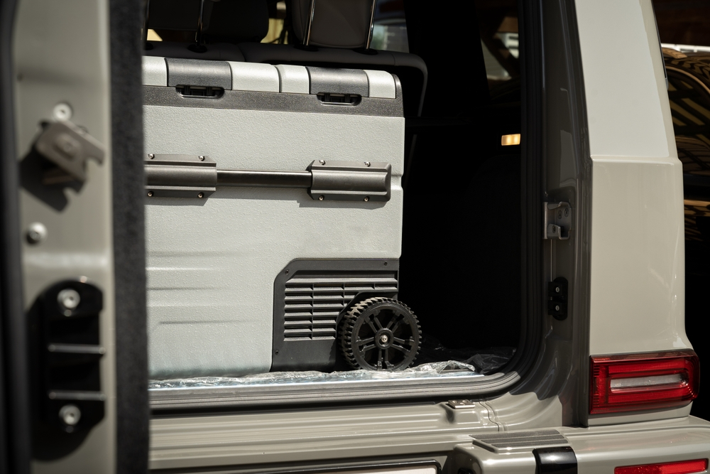 Portable fridge for frozen food during a move.