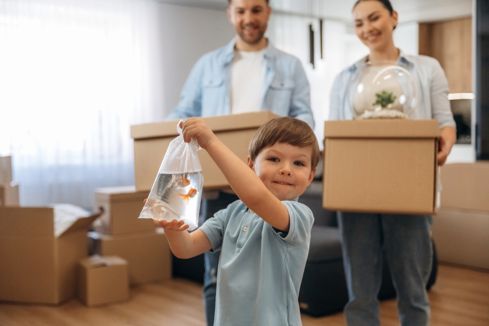 Safely transporting fish while moving.