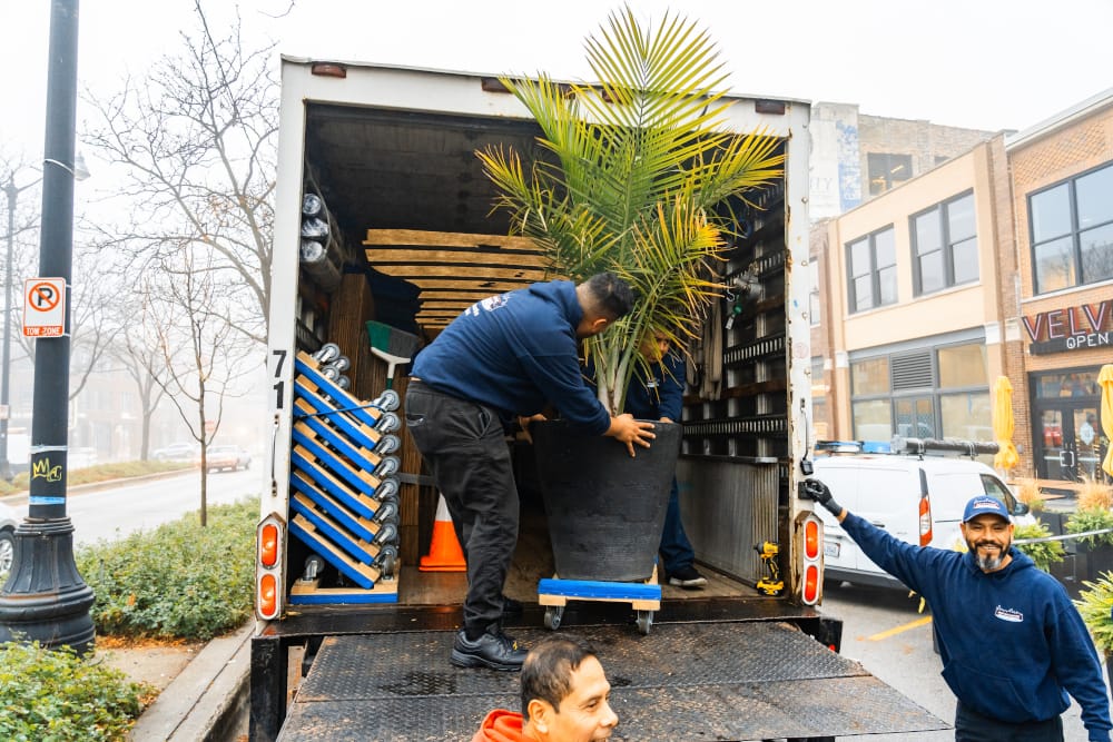 New city moving transporting plants.