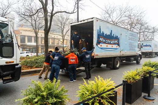 Four Section Fourth Image.